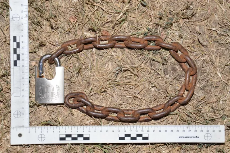 Kiskunfélegyháza, rendőrség, krimi, bűnügy, 