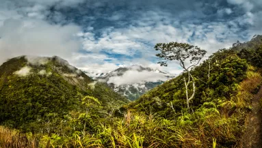 Közel egy méteres: brutális patkányfajt fedezett fel egy kutató - Fotók