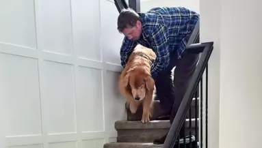 Furcsán viselkedik a golden retriever, az orvos is tanácstalan - a gazdi aztán rájön az okára - Videó