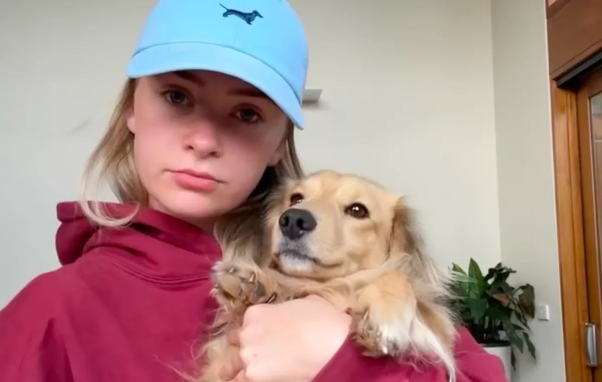 A kanapéra teszi a nő a kutyaágyat: amit a tacskója tesz, azon milliók nevetnek - Videó