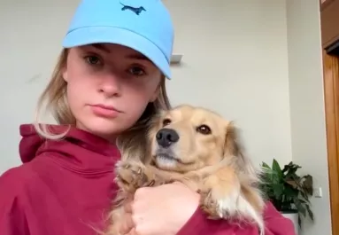 A kanapéra teszi a nő a kutyaágyat: amit a tacskója tesz, azon milliók nevetnek - Videó