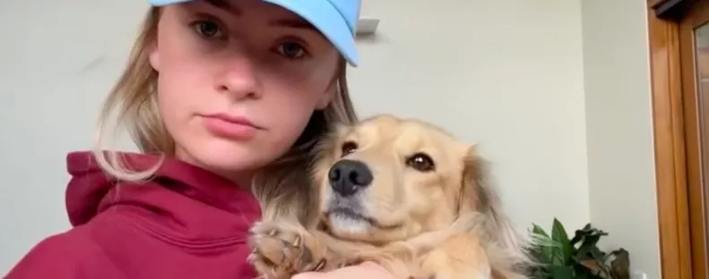 A kanapéra teszi a nő a kutyaágyat: amit a tacskója tesz, azon milliók nevetnek - Videó