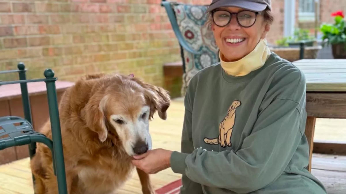 Idős golden retrievert fogad örökbe a pár: amit a kutya tesz, azon milliók nevetnek - Videó