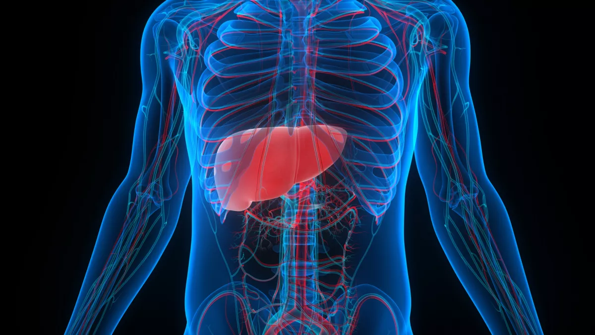 Nem csak az alkohol! Ez a 6 dolog rendkívül káros a májadra