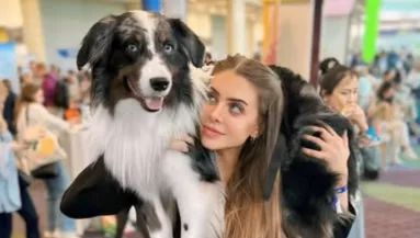 Kidobja a nő a hálóból a kutyákat: amikor benéz a babaágyba, nem hisz a szemének - Videó