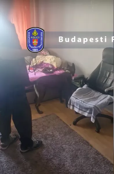 drog, krimi, bűnügy, lopás, kerékpár, rendőrség, 