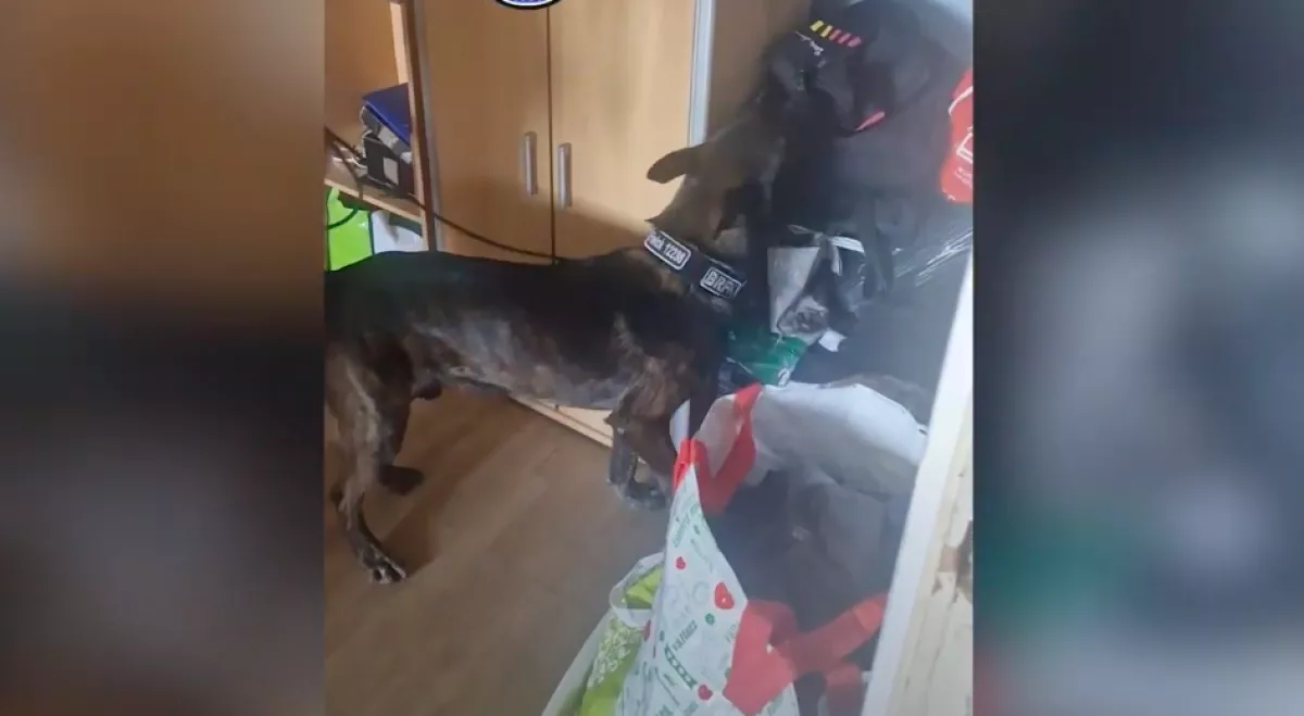 Váratlanul érkeztek meg Zolihoz a rendőrök: amit az otthonában találtak, annak többen is örülnek majd - Fotók