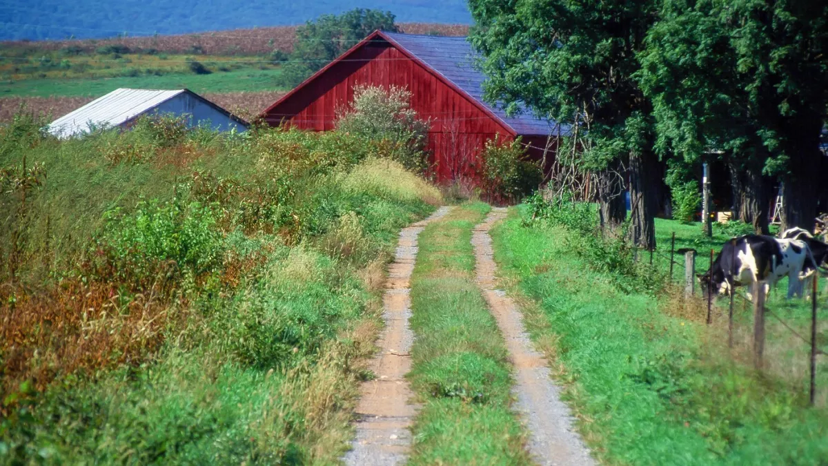 Hihetetlen: pelenkában találtak "szellemgyerekekre" (9, 6) egy telken