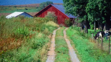 Hihetetlen: pelenkában találtak "szellemgyerekekre" (9, 6) egy telken