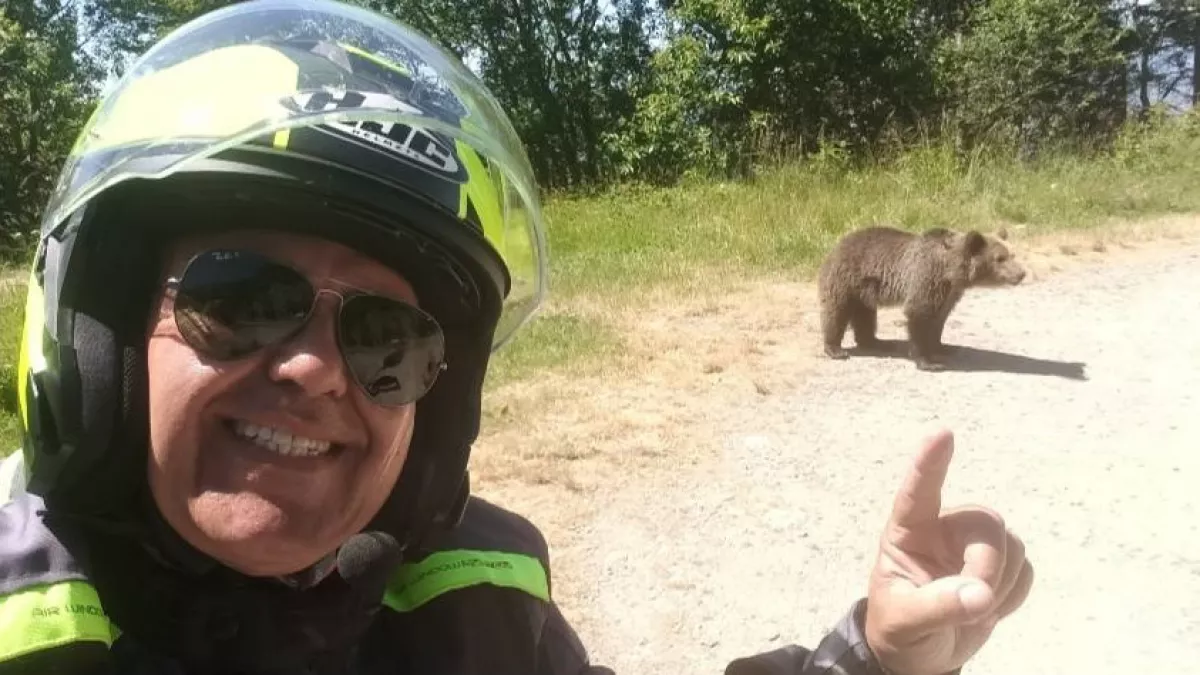 Barnamedvét akart etetni Romániában: a saját halálát vette videóra a motoros - Videó