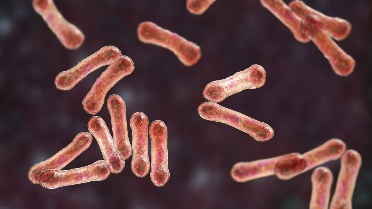 Riasztás: veszélyes torokbetegség terjed - halált is okozhat