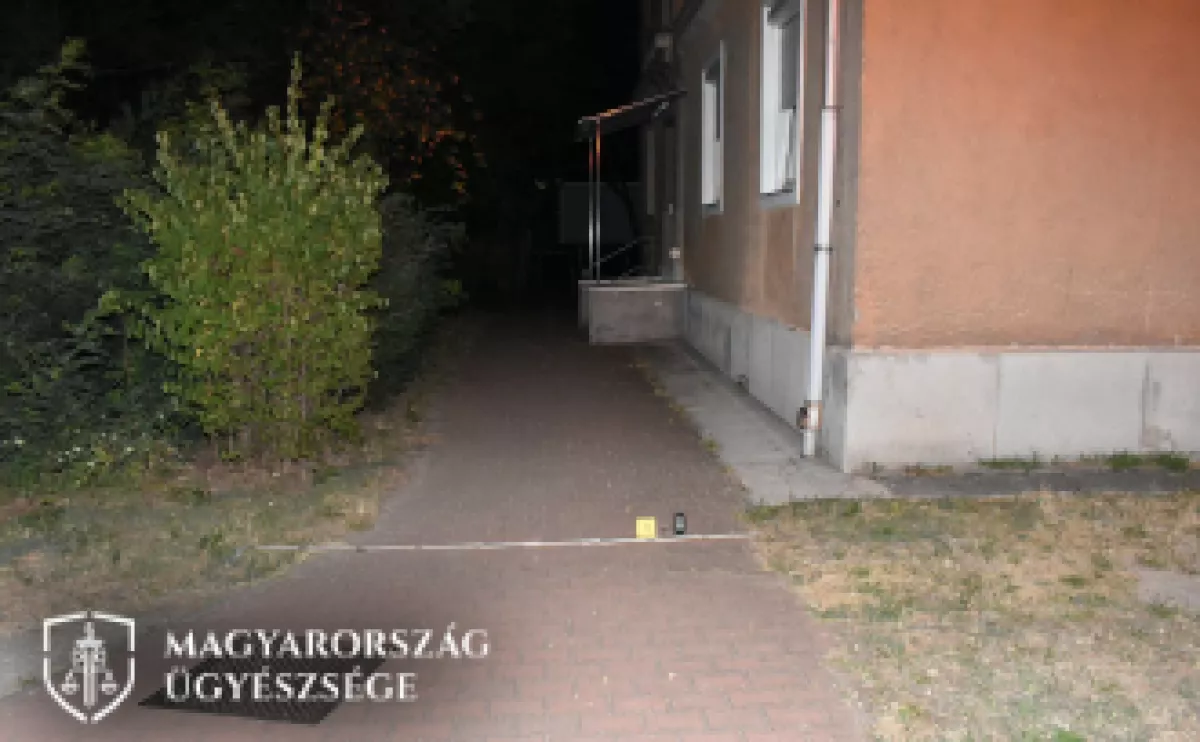 Állítólag füttyentett az utcán egy szép lánynak: életveszélyes állapotba került miatta egy férfi Tatabányán - Fotók