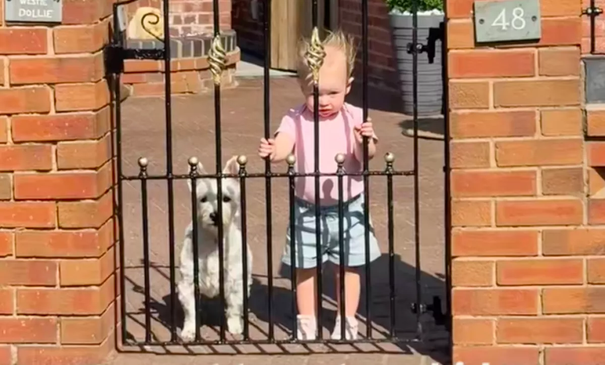 Elhozza a nagyszülőktől az egyéves kislányát a nő: a gyerek látványa megdöbbentő - Videó