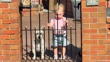 Elhozza a nagyszülőktől az egyéves kislányát a nő: a gyerek látványa megdöbbentő - Videó