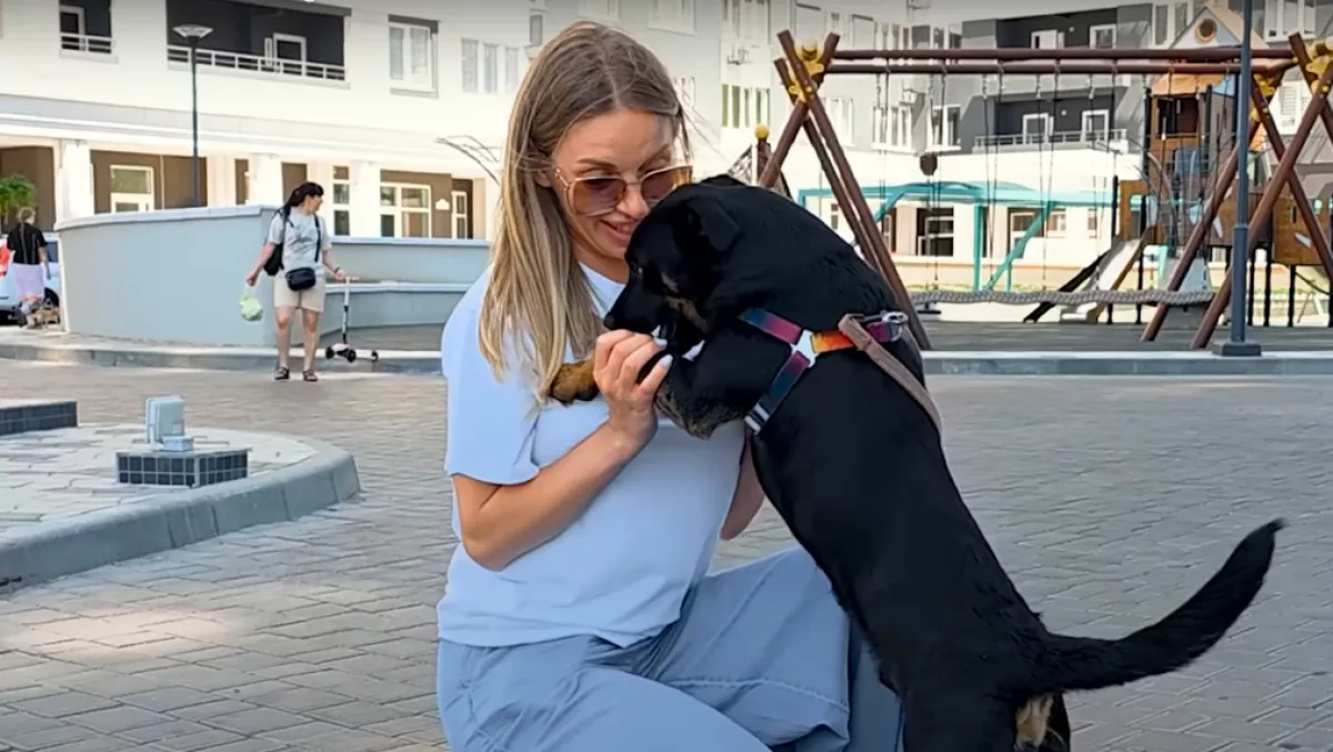 Pár mondatot mond a kidobott kutyának a nő: a reakciója szívszorító - Videó