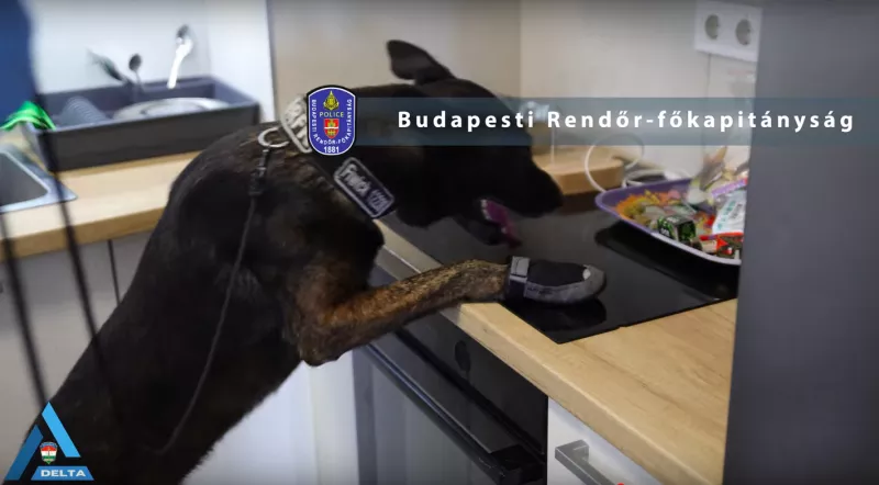 drog, zugló, mercedes, bűnügy, krimi, 