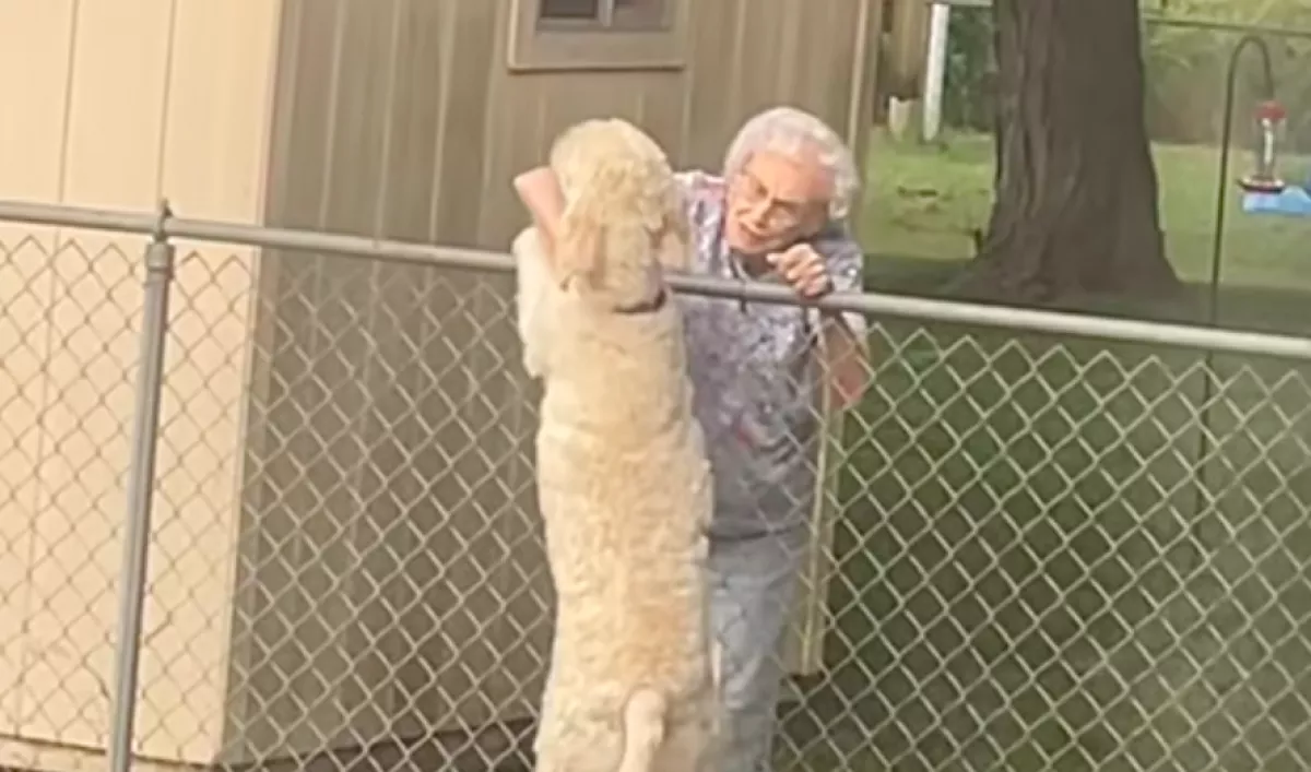 Minden nap találkozik a kerítésénél a kutya a nagyival: amikor a nő meghal, szívszorító dolog történik - Videó
