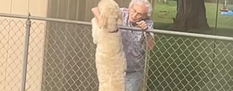 Minden nap találkozik a kerítésénél a kutya a nagyival: amikor a nő meghal, szívszorító dolog történik - Videó