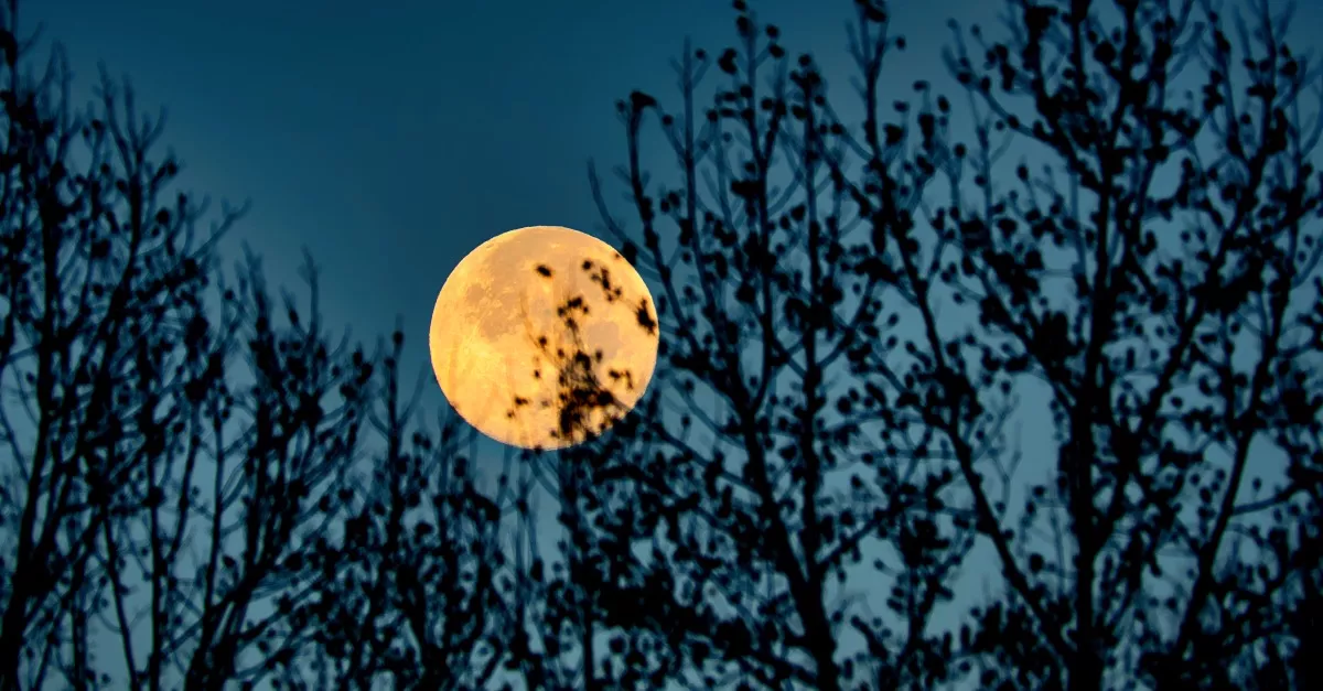 Telihold - Ez a 4 csillagjegy brutális leckét kap szombaton