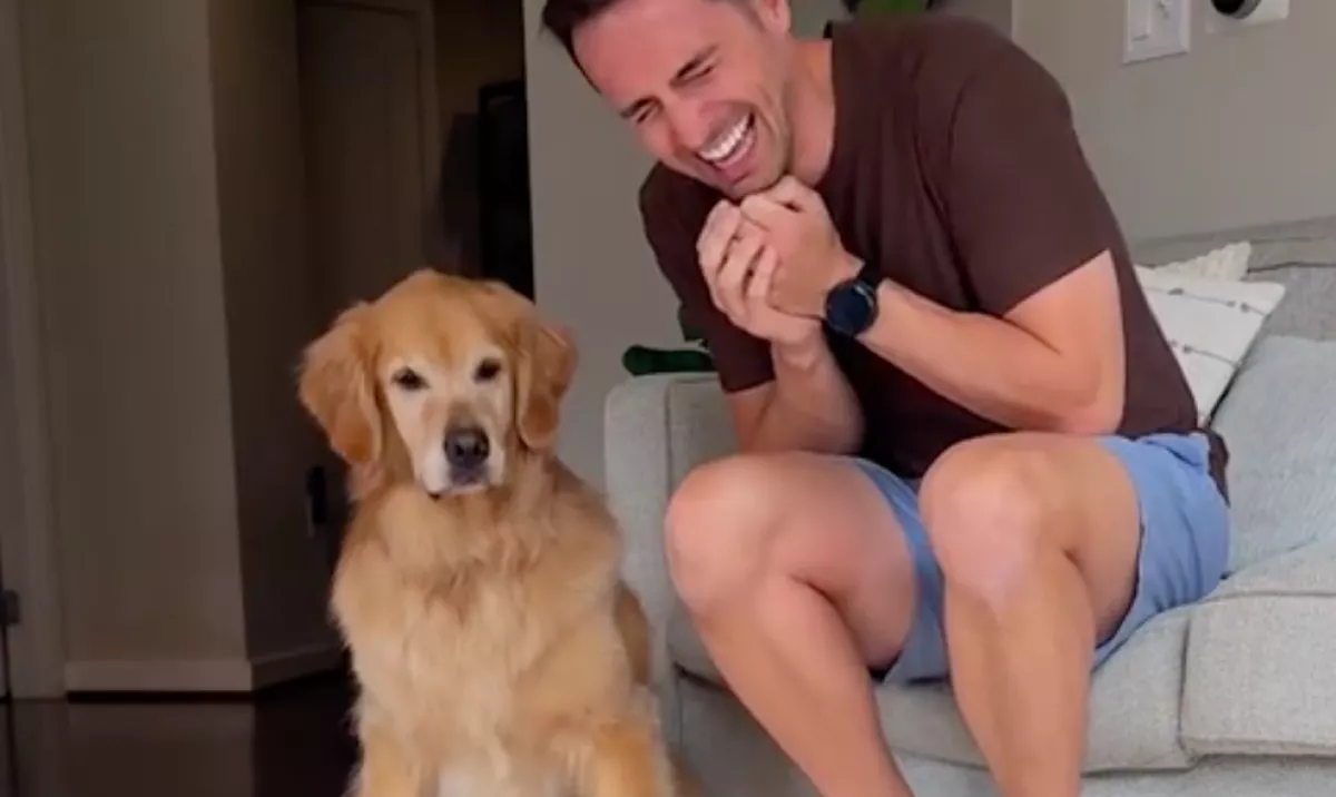 Meglátja a férfi, hogy reagál a golden retriever a rap-számra, és képtelen abbahagyni a nevetést - Videó