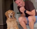 Meglátja a férfi, hogy reagál a golden retriever a rap-számra, és képtelen abbahagyni a nevetést - Videó