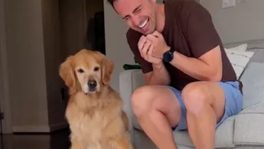 Meglátja a férfi, hogy reagál a golden retriever a rap-számra, és képtelen abbahagyni a nevetést - Videó