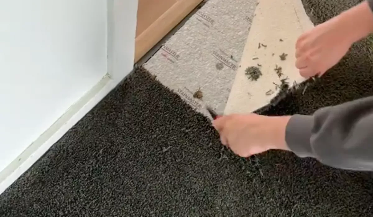 3 perce kapták meg az új lakásuk kulcsát: a szőnyeg alatt várt rájuk a meglepetés - Videó