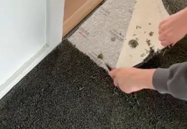 3 perce kapták meg az új lakásuk kulcsát: a szőnyeg alatt várt rájuk a meglepetés - Videó