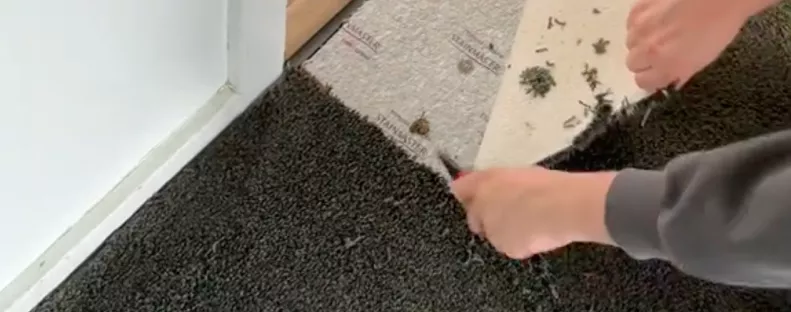 3 perce kapták meg az új lakásuk kulcsát: a szőnyeg alatt várt rájuk a meglepetés - Videó