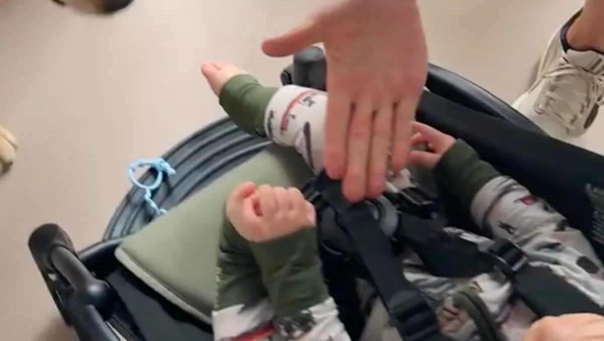 A pacsit gyakorolja az apa a babával: amit a golden retrieverek tesznek, letarolja a netet - Videó