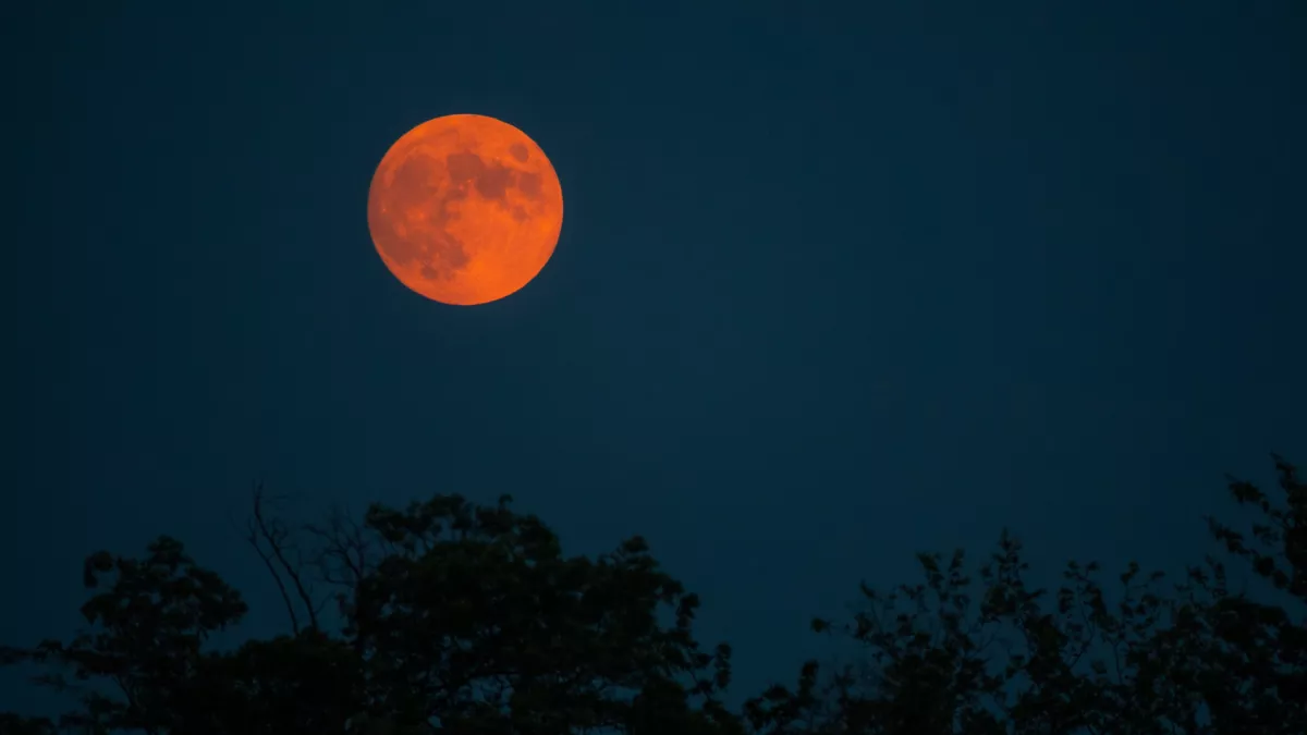 Vérhold szeptember 7-én: 3 csillagjegy életre szóló pillanatra számíthat