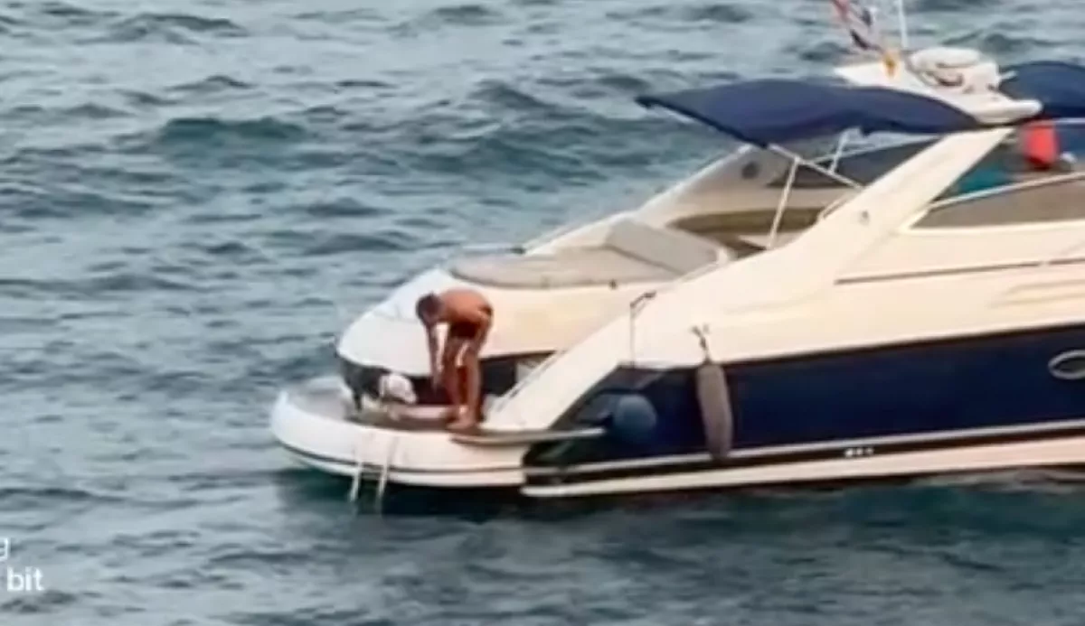 Bedobja a kutyát a jachtról a tengerbe a férfi, majd elhajt: megdöbbentő, ami ezután történik - Videó