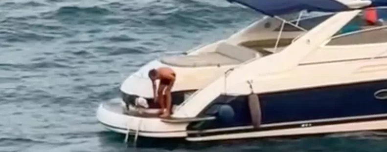Bedobja a kutyát a jachtról a tengerbe a férfi, majd elhajt: megdöbbentő, ami ezután történik - Videó