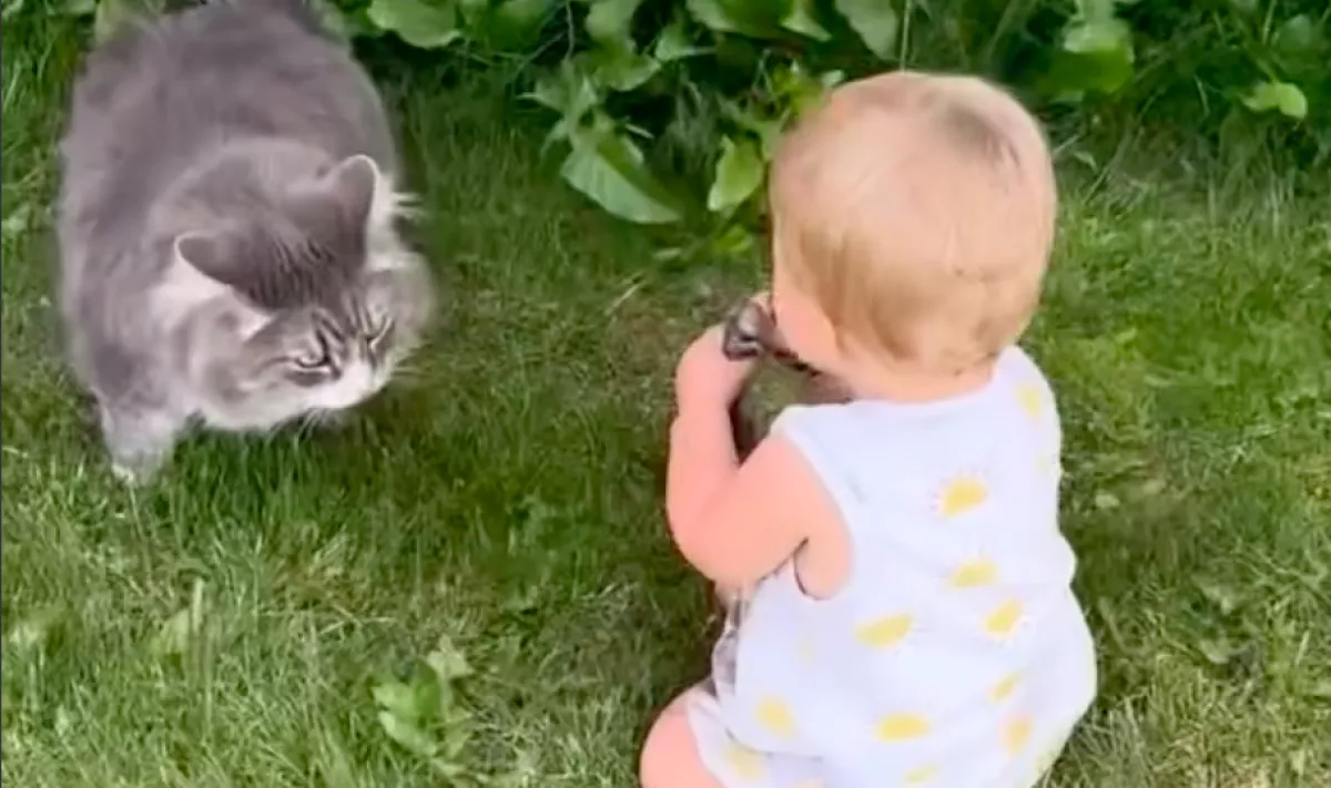 A cicával játszik az egyéves kislány a kertben: sokkot kap az anyja, amikor meglátja a kezét - Videó