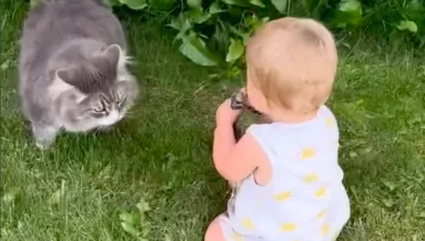 A cicával játszik az egyéves kislány a kertben: sokkot kap az anyja, amikor meglátja a kezét - Videó