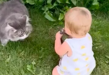 A cicával játszik az egyéves kislány a kertben: sokkot kap az anyja, amikor meglátja a kezét - Videó