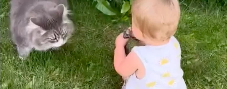 A cicával játszik az egyéves kislány a kertben: sokkot kap az anyja, amikor meglátja a kezét - Videó