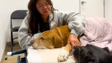 El kell búcsúznia a kutyájától a Diának: amit a másik kutya tesz, könnyeket csal a szemekbe - Videó