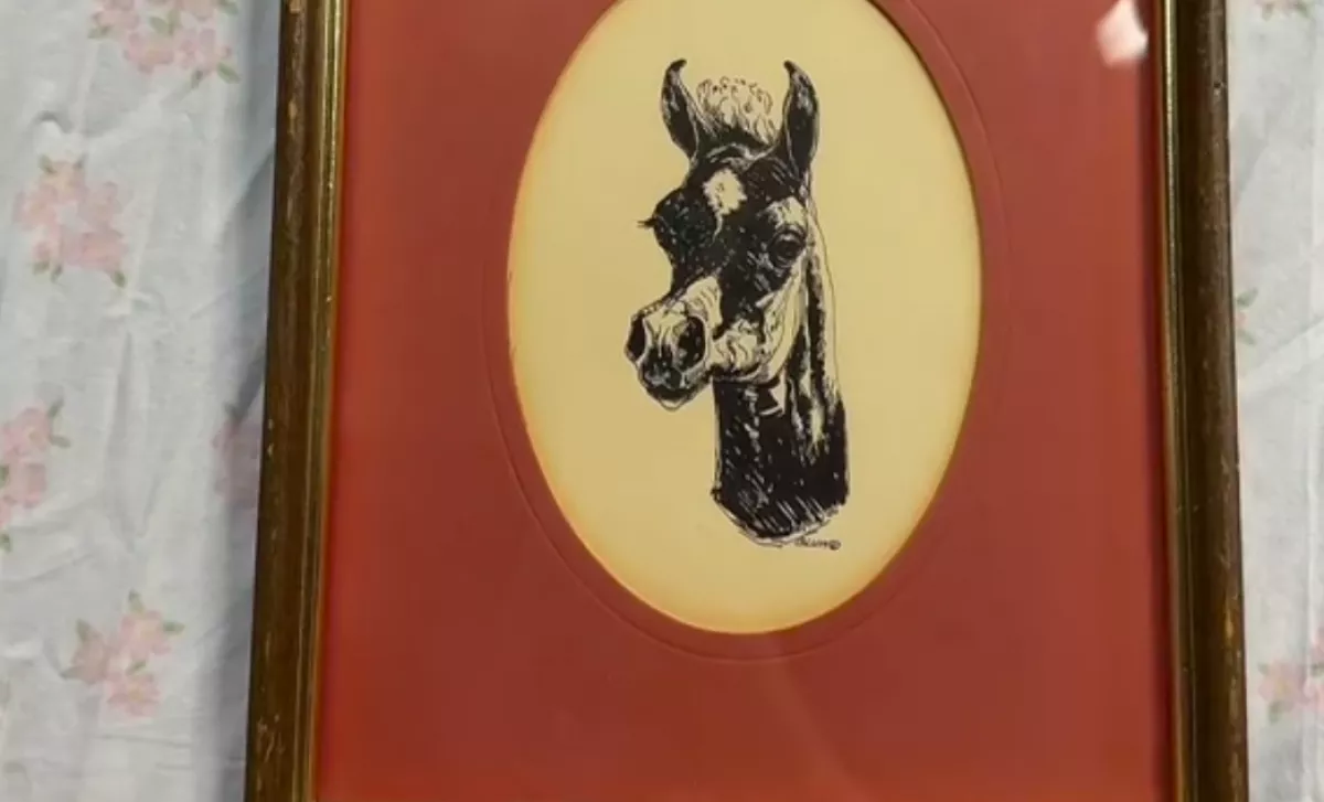 Ritka használt festményt vesz a nő: amit benne talál, lehengerlő - Videó