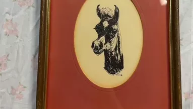 Ritka használt festményt vesz a nő: amit benne talál, lehengerlő - Videó