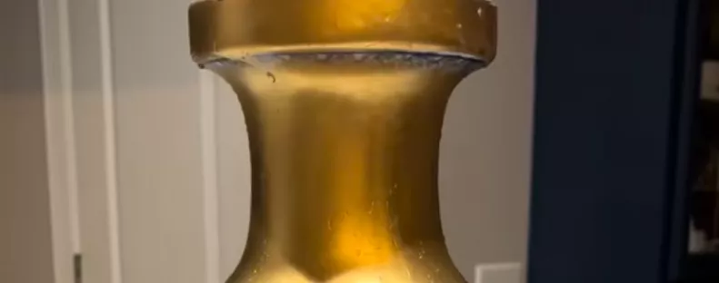 Használt vázát vesz a turkálóban a nő: leesik az álla, mit talál alatta - Videó