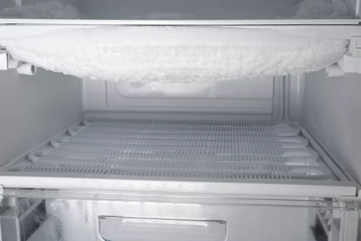 20 évig tárolta egy fagyasztóban a lánya holttestét egy 75 éves nő: letartóztatták