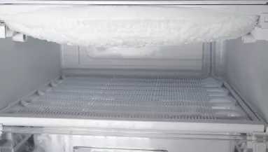 20 évig tárolta egy fagyasztóban a lánya holttestét egy 75 éves nő: letartóztatták