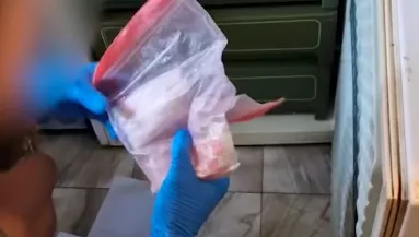 Elvesztette az "állását" Zoltán: 10 képet kaptunk a rendőröktől, miért