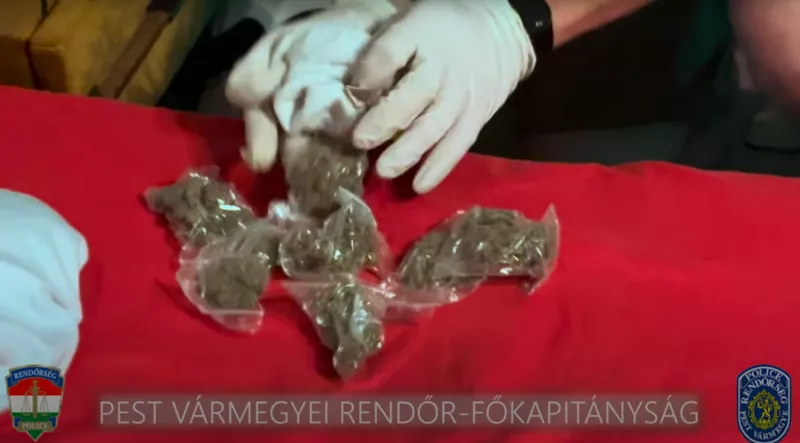endre, drog, veresegyháza, rendőrség, 