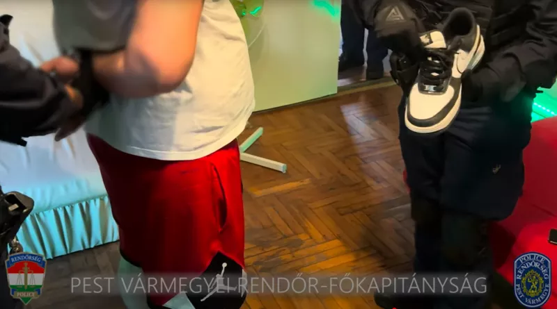 endre, drog, veresegyháza, rendőrség, 