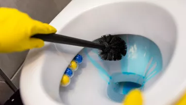 Ezért nincs WC-kefe nagyon sok szállodában - Megdöbbentő oka van