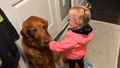 Elbúcsúzik a golden retrievertől a kislány: ami ezután következik, szíveket olvaszt meg - Videó