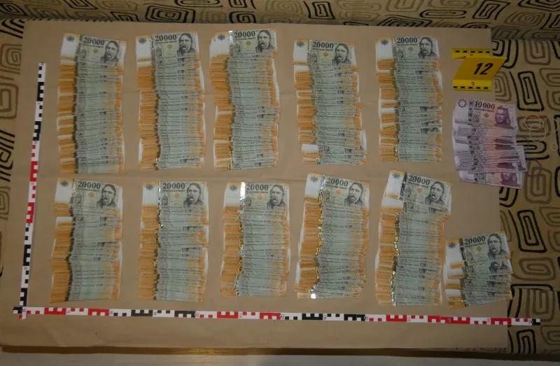 szag, bella, kutya, drog, bűnügy, krimi, 