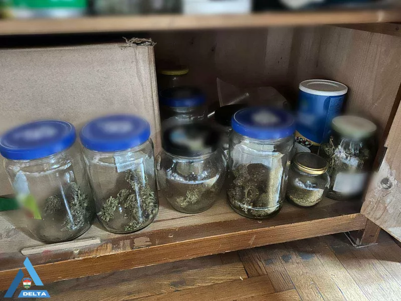 Zoltán, biznisz, drog, rendőrség, krimi, bűnügy, 